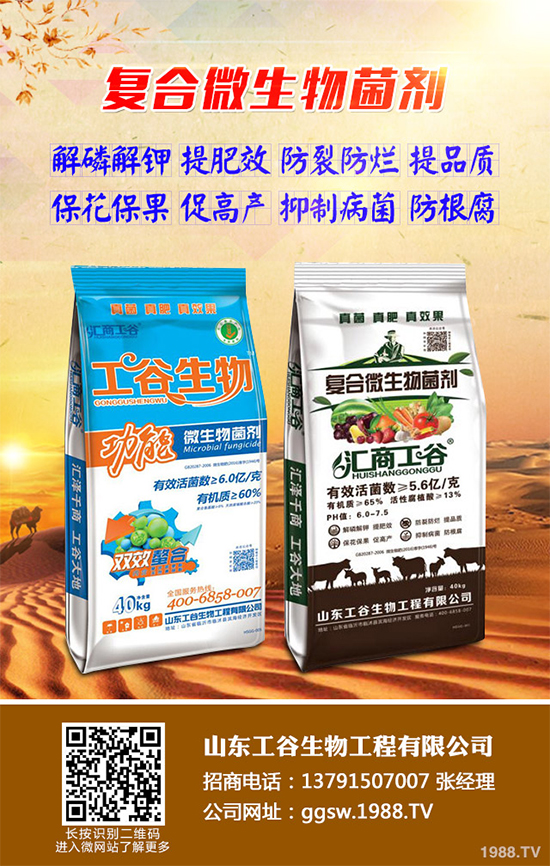 小麥條銹病正在肆虐，農戶到底該咋辦？關鍵還是靠預防！