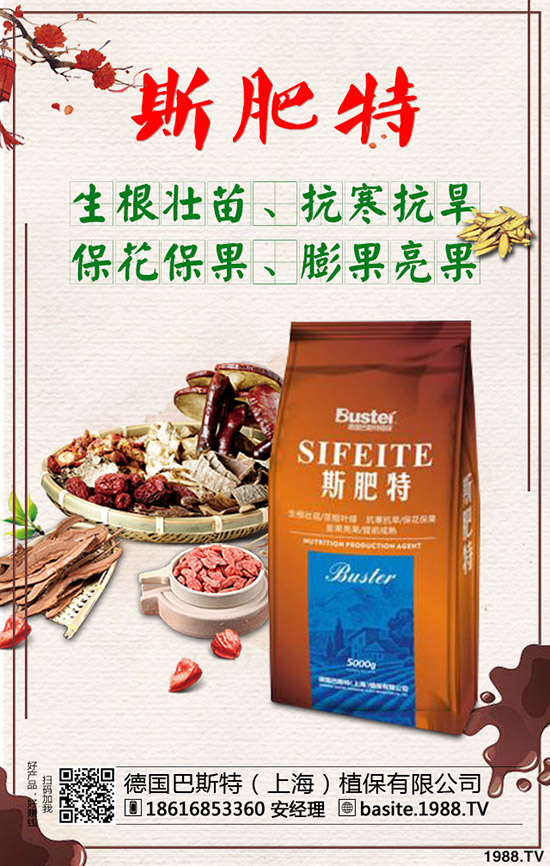 西瓜苗幾月份移栽，西瓜苗定植移栽技術(shù)及注意事項！