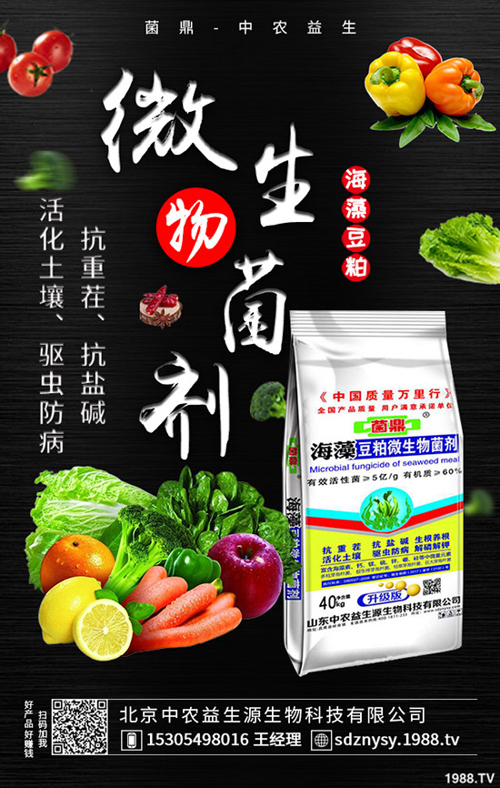     二銨市場整體表現(xiàn)平靜！2020-5-12最新磷酸二銨價(jià)格行情分析！