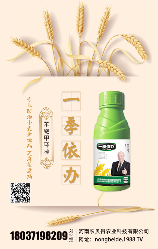 水培白掌怎么養(yǎng)？水培水培注意要點！