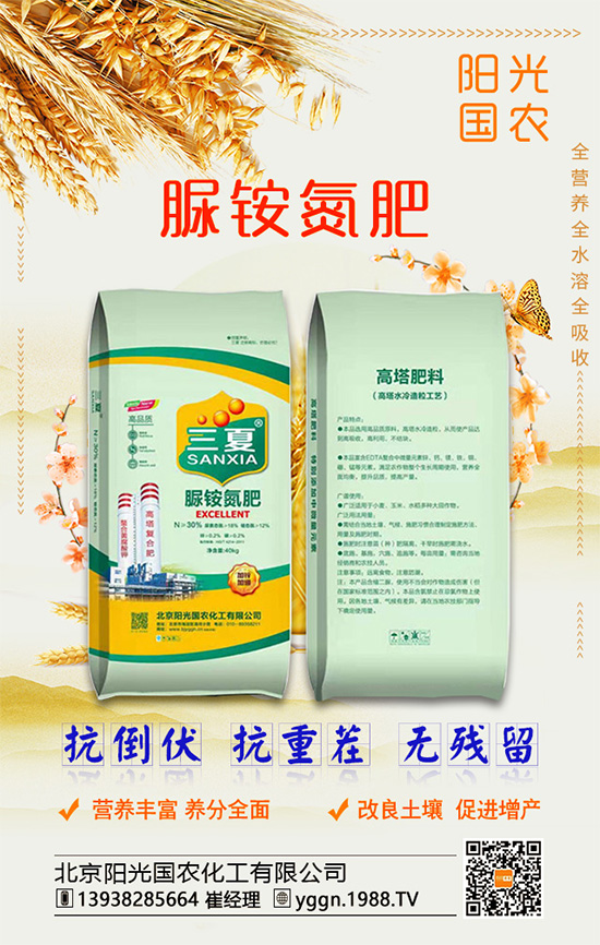 白掌怎么養(yǎng)殖好？水培白掌需要多久才能換水？