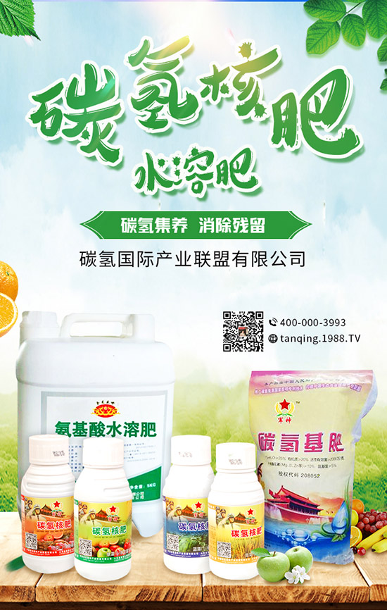     5月可以種什么菜？5月蔬菜種植指南及防注意事項(xiàng)！