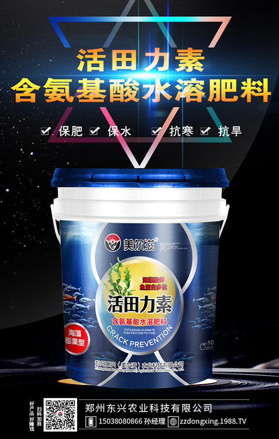 牛大力的種植的前景怎樣，牛大力種植技術(shù)及苗期管理！