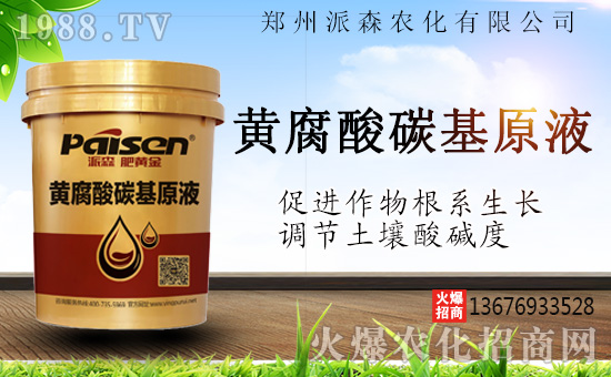 ������ɭ�r(n��ng)���ٺ�1988.TV����(zh��n)�Ժ����P(gu��n)ϵ�������_�A��