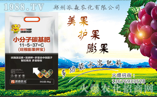 ������ɭ�r(n��ng)���ٺ�1988.TV����(zh��n)�Ժ����P(gu��n)ϵ�������_�A��