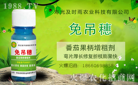 ����������(j��)�����r(sh��)���r(n��ng)�I(y��)�y��1988.TV���Aδ��(l��i)��