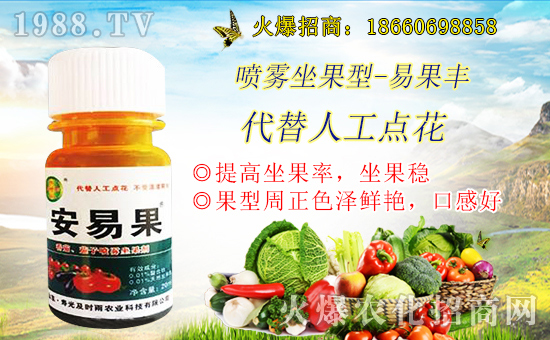 ����������(j��)�����r(sh��)���r(n��ng)�I(y��)�y��1988.TV���Aδ��(l��i)��