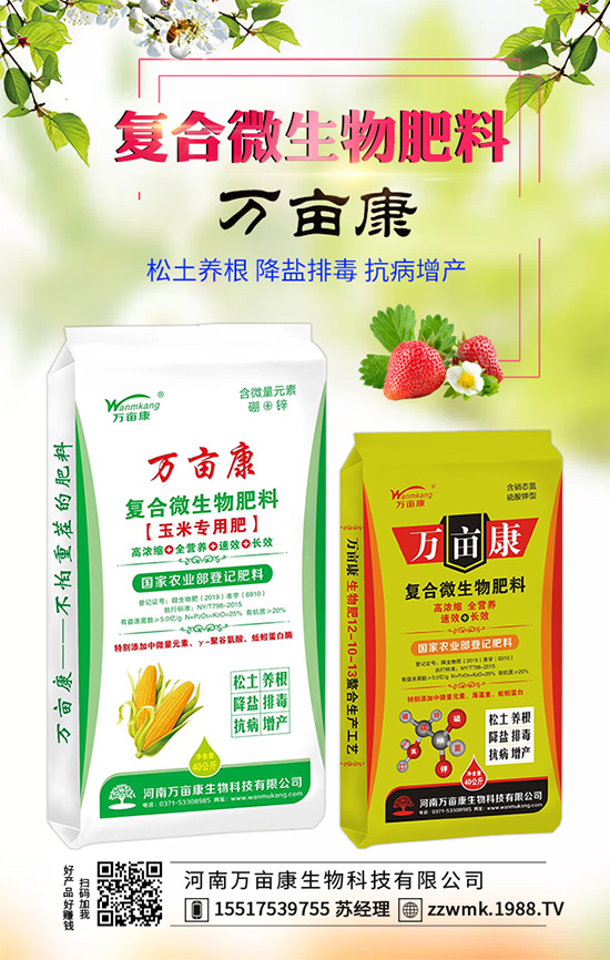 白掌不開花是什么原因？白掌不開花解決措施！