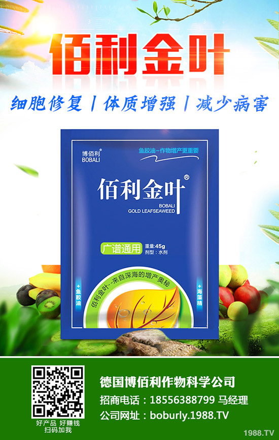     蘿卜撇葉中應(yīng)該注意什么？蘿卜撇葉的方法及注意事項(xiàng)！