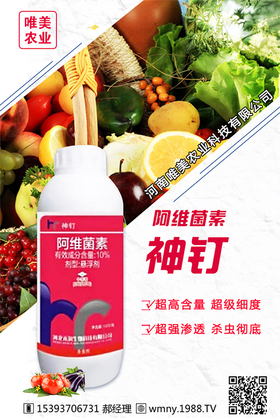 洋蔥的栽培品種有哪些？種植洋蔥對環(huán)境條件的要求！