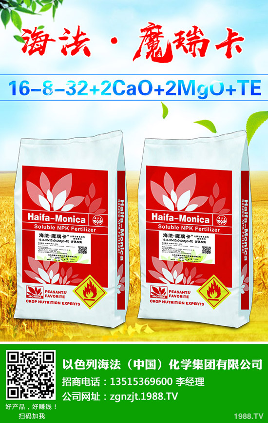     葡萄樹(shù)勢(shì)旺長(zhǎng)發(fā)生原因有哪些？該怎么辦？葡萄的夏季控旺技術(shù)！