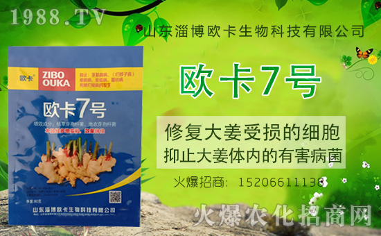 �����P(gu��n)ϵ�����A��ɽ�|�Ͳ��W�������m(x��)�s1988.TV�����\�����°l(f��)չ��