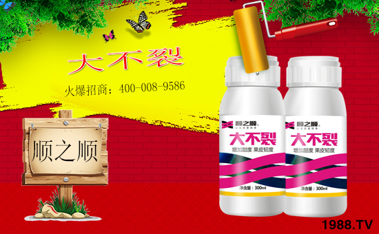 ���r(n��ng)���W(w��ng)ϲӭ�����ѣ������֮혻𱬁�(l��i)�u�����v�ɹ���