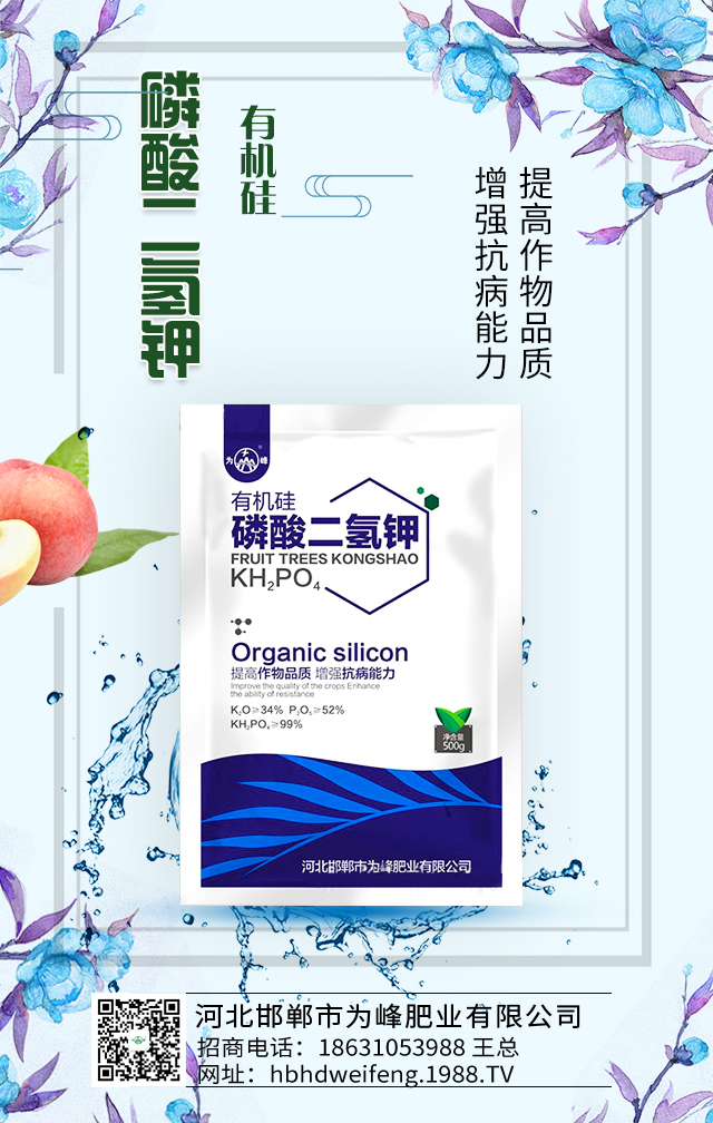 �ӱ������О��ʘI(y��)���޹�˾