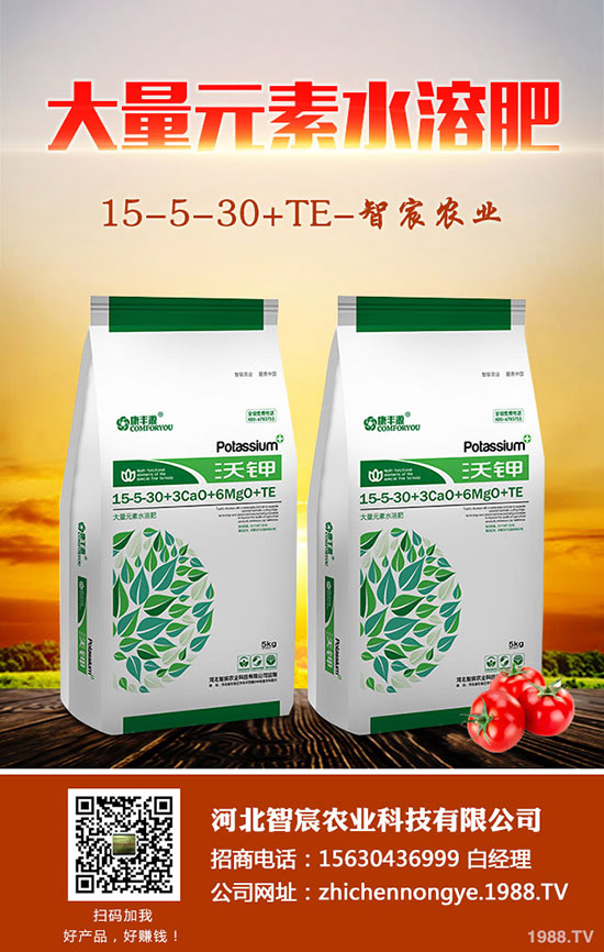 龍須鐵怎么養(yǎng)，龍須鐵的養(yǎng)殖方法和注意事項