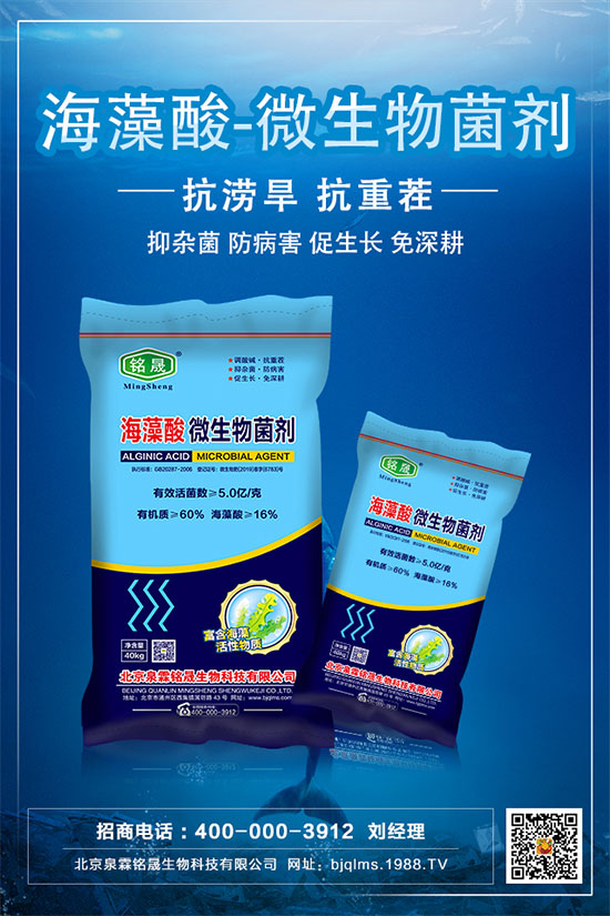     黃瓜的中后期管理技術，黃瓜后期肥水怎么管理？