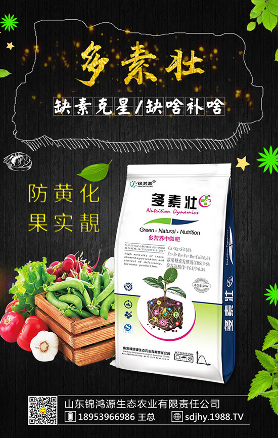 火龍果育苗方法有哪些，火龍果育苗要點(diǎn)及苗期管理！