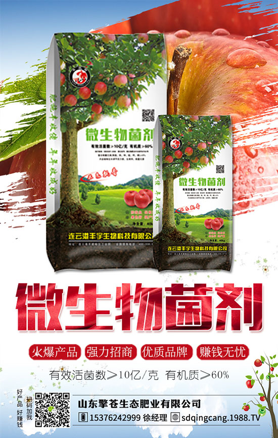 草莓發(fā)生肥害了怎么辦?如何避免?草莓肥害原因及補(bǔ)救措施!