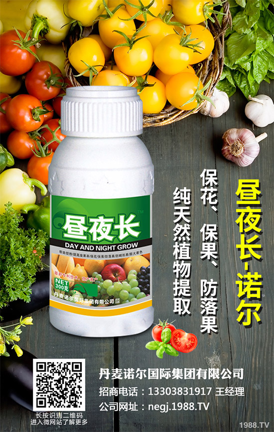 夏芹菜什么時(shí)候種植？該如何種植？夏芹菜高產(chǎn)種植技術(shù)