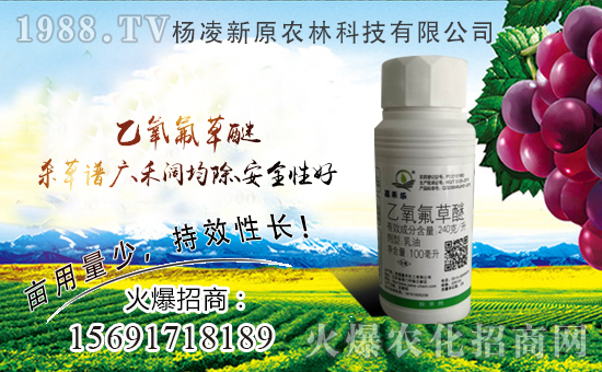 新原農(nóng)林首次簽約1988.TV,攜手共創(chuàng)美好明天!