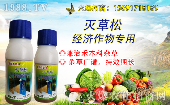 新原農(nóng)林首次簽約1988.TV,攜手共創(chuàng)美好明天!