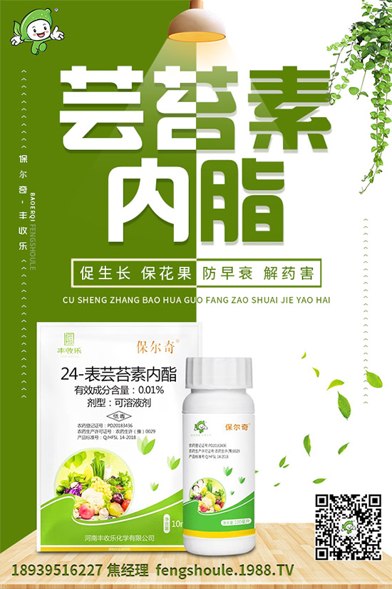 草珊瑚該怎么種植？如何種植能高產(chǎn)？草珊瑚高產(chǎn)種植技術(shù)