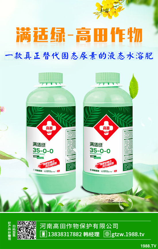 草珊瑚有哪些神奇功效？中藥材草珊瑚的作用及功效！