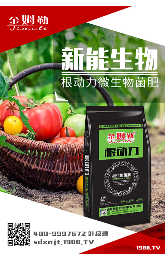 �������\�l(f��)չ��ɽ�|�����ٺ�1988.TV�_��(chu��ng)���x����