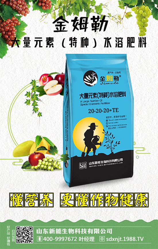 �������\�l(f��)չ��ɽ�|�����ٺ�1988.TV�_��(chu��ng)���x����