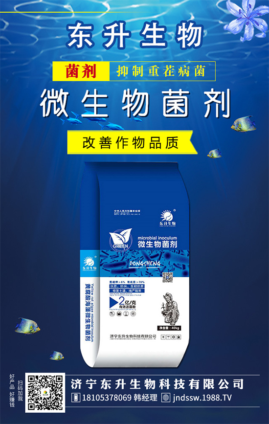 白掌的花語(yǔ)是什么？水培白掌的的養(yǎng)護(hù)方法！