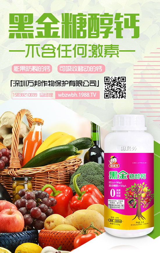 花期將至！棗樹落花落果該怎么辦？棗樹落花落果原因及防止措施！