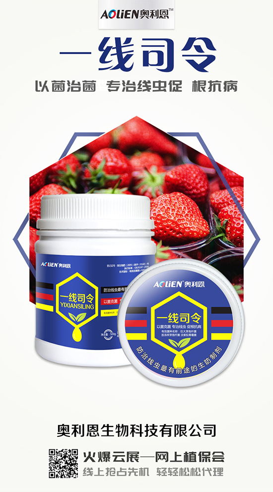 香瓜育苗期的水肥管理,香瓜施肥的注意事項!