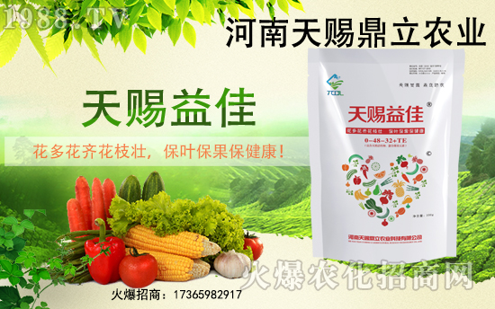 �r(n��ng)���W(w��ng)ϲӭ�»�����y�����n��������ؔ(c��i)��֮·��