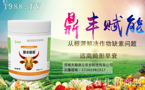 �r(n��ng)���W(w��ng)ϲӭ�»�飬�y�����n��������ؔ(c��i)��֮·��