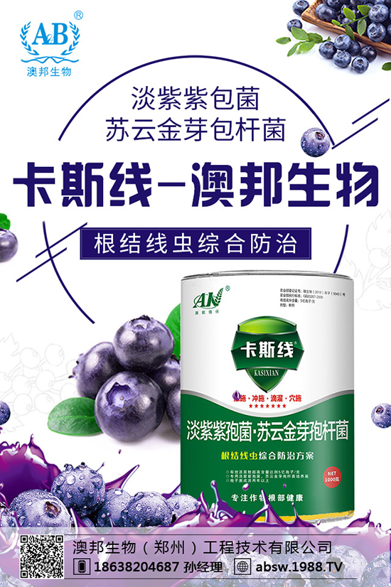 玉米播種多深才算好？玉米如何選種？玉米播種注意事項！