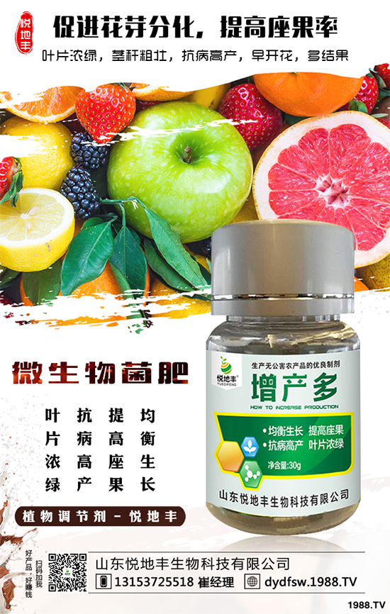 冰菜該如何栽培？怎樣種植能高產(chǎn)？冰菜的高產(chǎn)栽培技術(shù)
