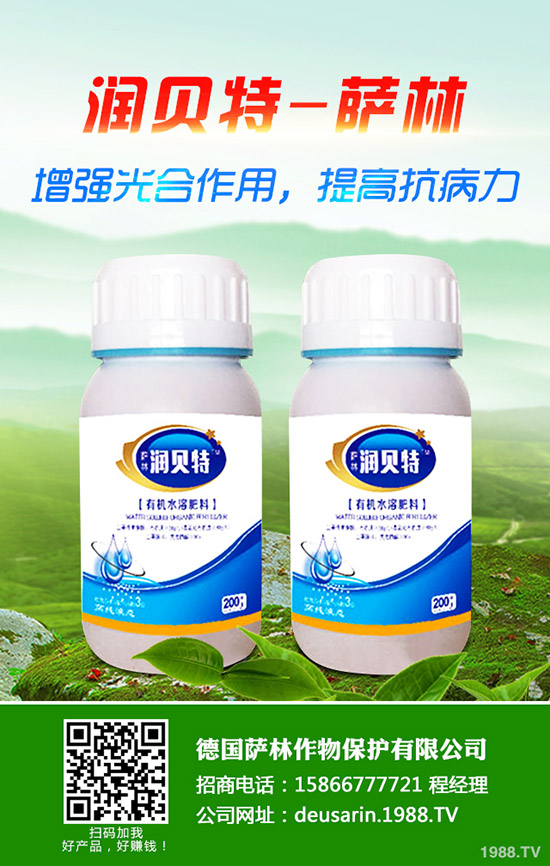 金桔樹怎么養(yǎng)？金桔樹的養(yǎng)殖方法和注意事項(xiàng)