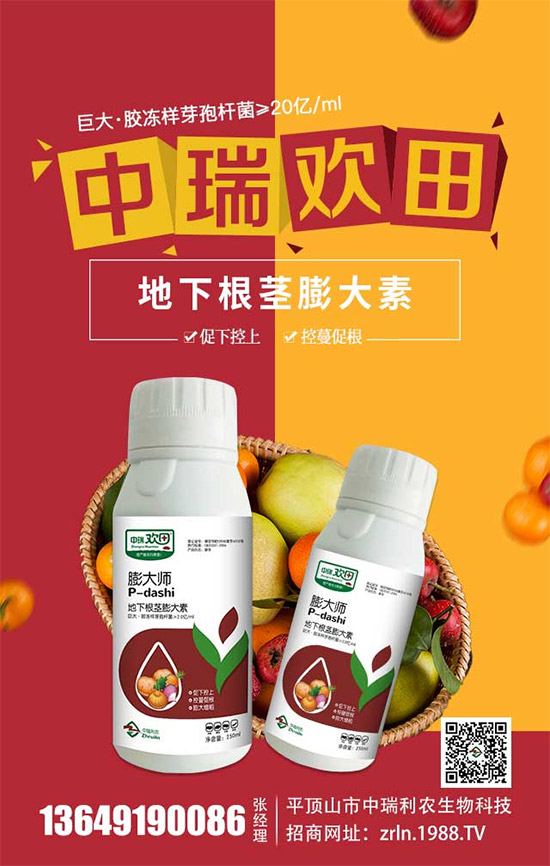 �������������������r(n��ng)�ٺ����r(n��ng)�����̾W(w��ng)�������W(w��ng)�j����·��