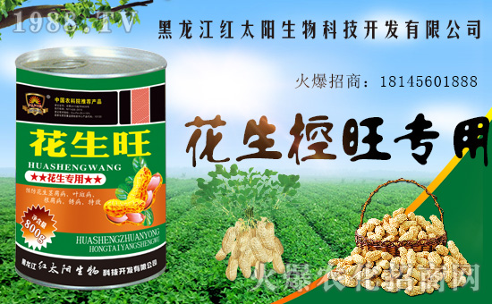 �������������t̫������ٺ�1988.TV���y�ֹ��A2020��