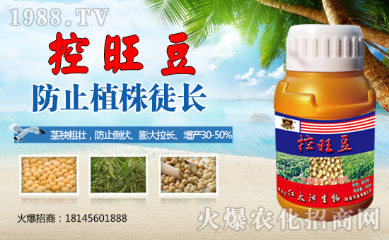 �������������t̫������ٺ�1988.TV���y�ֹ��A2020��