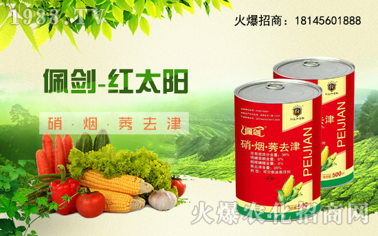 �������������t̫������ٺ�1988.TV���y�ֹ��A2020��