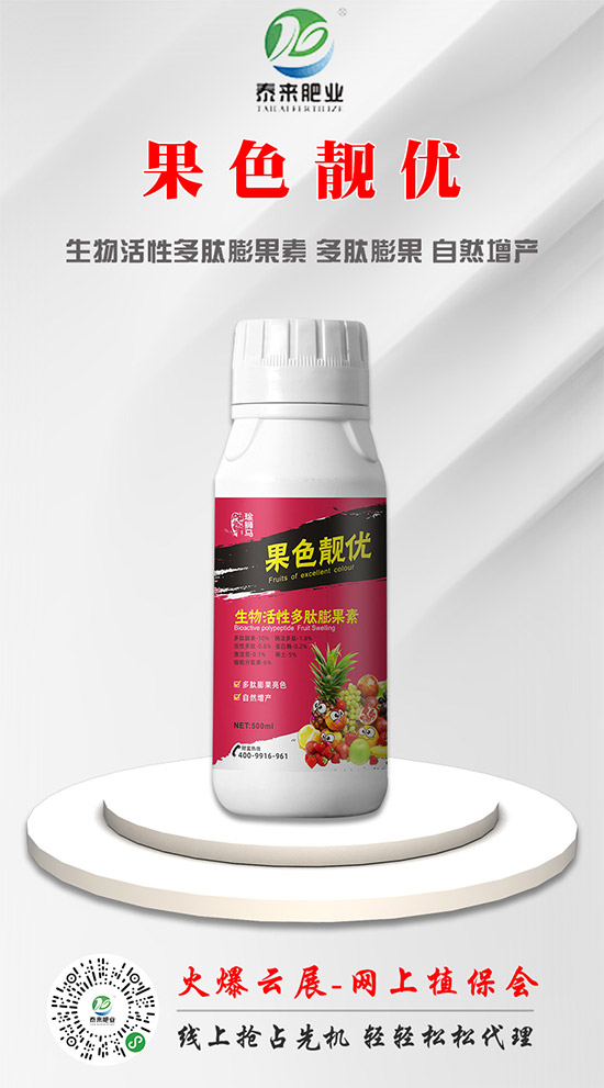 ̩����H�ʘI(y��)�ٺ����r(n��ng)���W(w��ng)�����󌍬F(xi��n)�v�w����