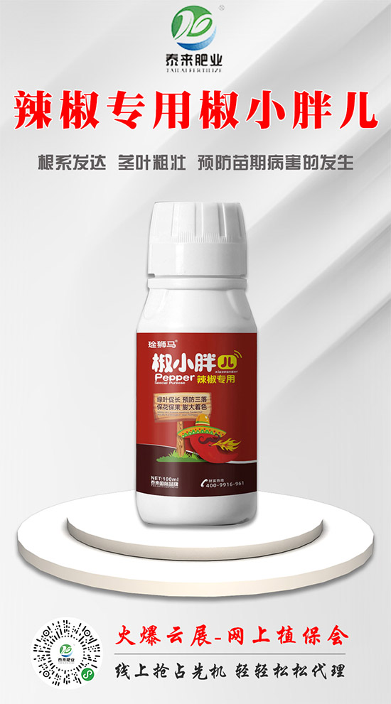 ̩����H�ʘI(y��)�ٺ����r(n��ng)���W(w��ng)�����󌍬F(xi��n)�v�w����