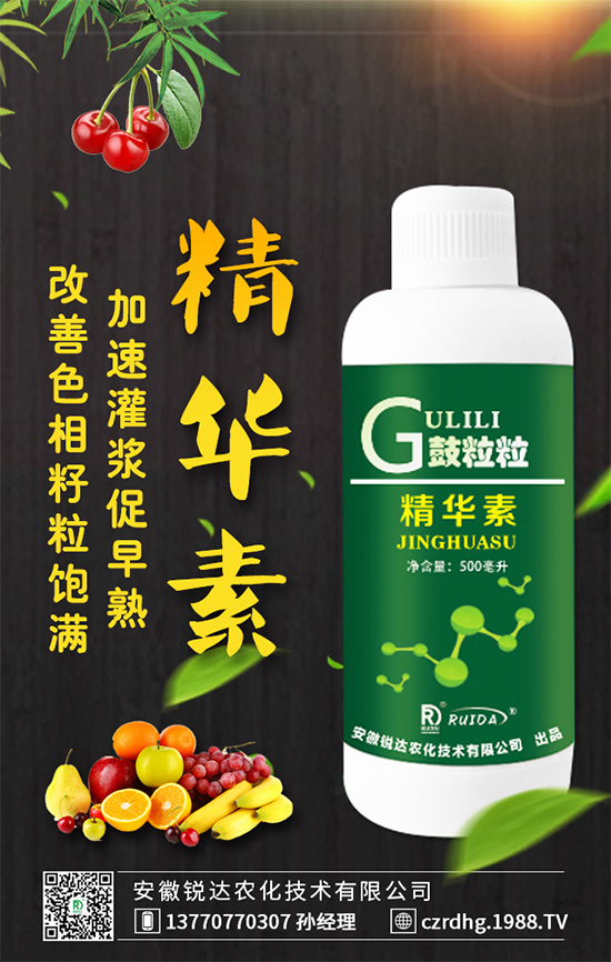    �t�Ļ������Ͱ��Ļ������Ă�(g��)�����^(q��)�e����Щ���I�B(y��ng)�l������