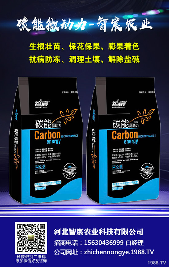 西瓜的需肥特性,西瓜施肥四禁忌!