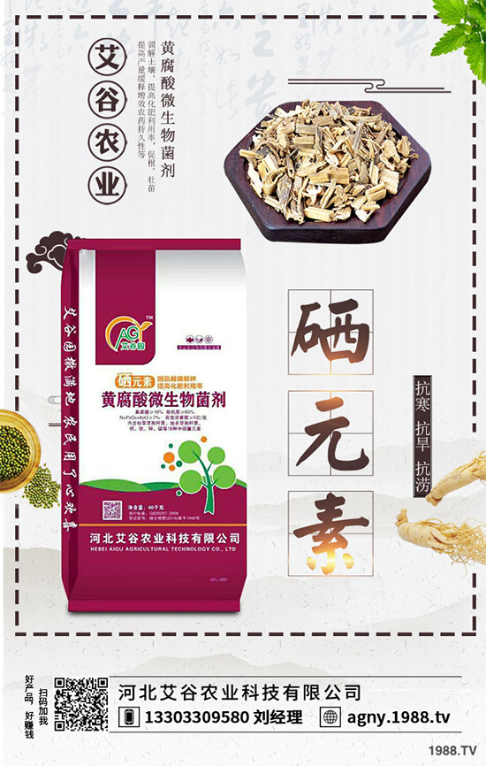 黑番茄該怎樣種植？如何管理才能獲得高產(chǎn)？黑番茄高產(chǎn)種植管理技術(shù)！