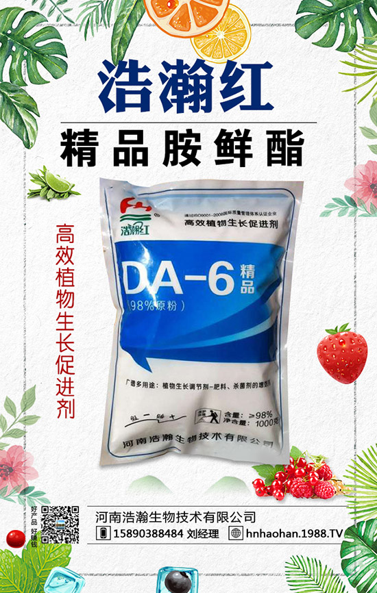 西紅柿摘葉常見誤區(qū)有哪些？西紅柿摘葉技巧！