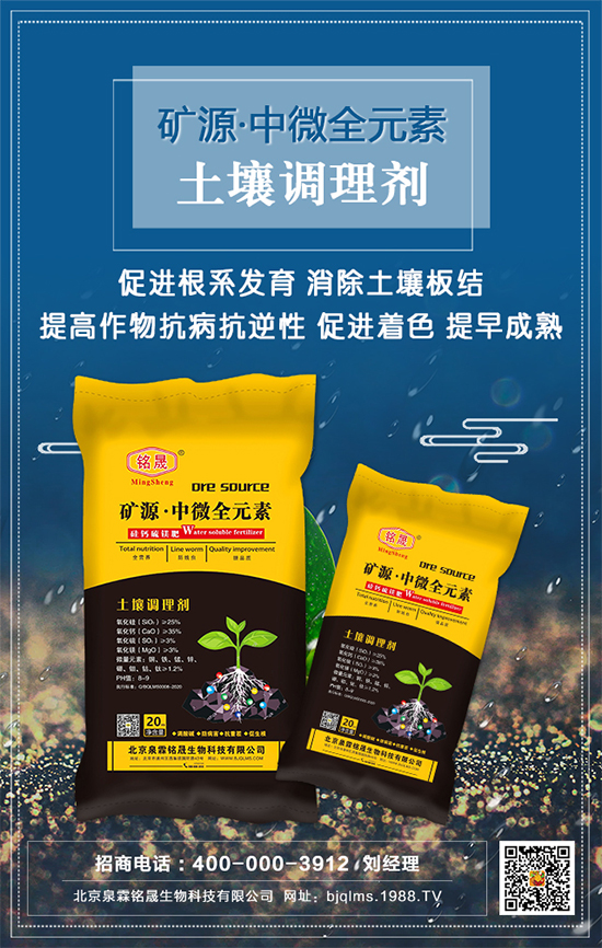 黑芝麻什么時間種植？黑芝麻栽培技術(shù)要點！