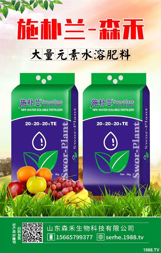 馬鈴薯價(jià)格不斷升高，能否繼續(xù)堅(jiān)挺？2020年馬鈴薯種植前景分析