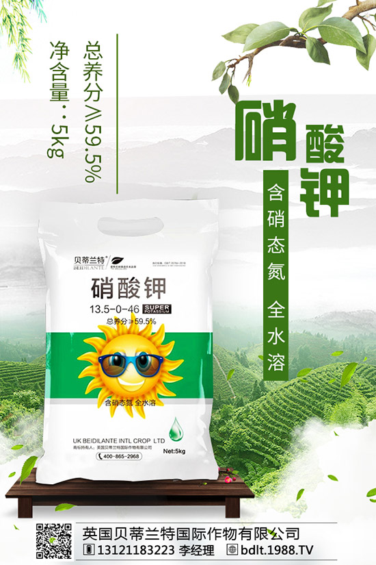 番茄空心果是怎么回事？如何做可以避免番茄空心？